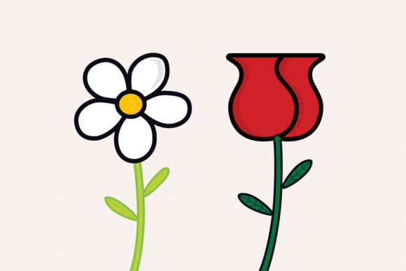 Daisy & Rose Graphics: Editorial Illustrations