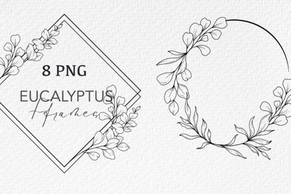 Eucalyptus Frames LINE ART: A Designer's Review