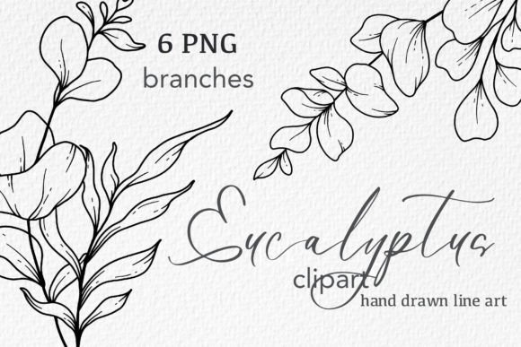 Eucalyptus Graphics: A Brand Review