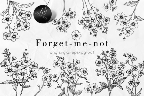 Forget-me-not SVG Clipart: Graphics & Illustrations