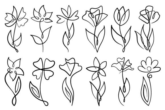 Line Art Flowers: Minimal Graphics & Illustrations
