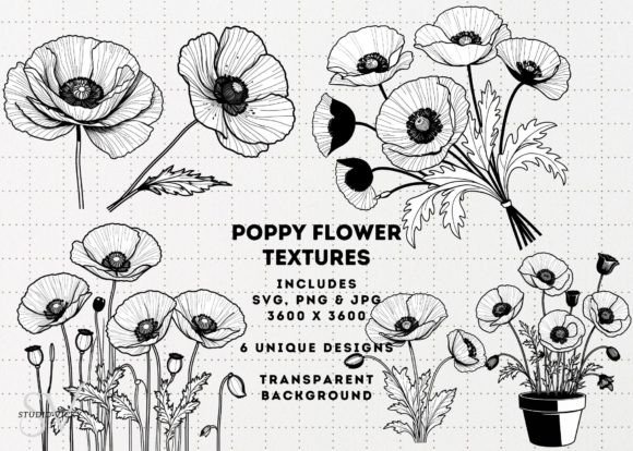 Poppy Flowers Clipart: Premium Graphics & Illustrations