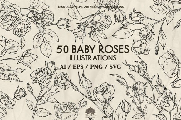 Roses Line Drawing Graphics for Modern Illustrations