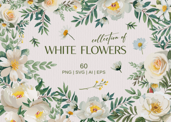 White Flowers PNG and Vector: Graphics & Illustrations
